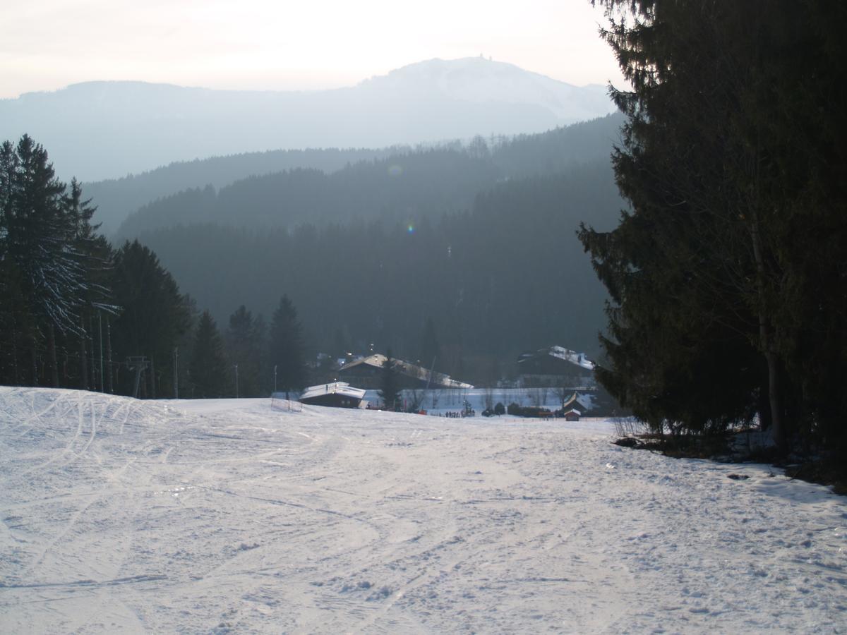 Chata Obzor Železná Ruda Exterior foto