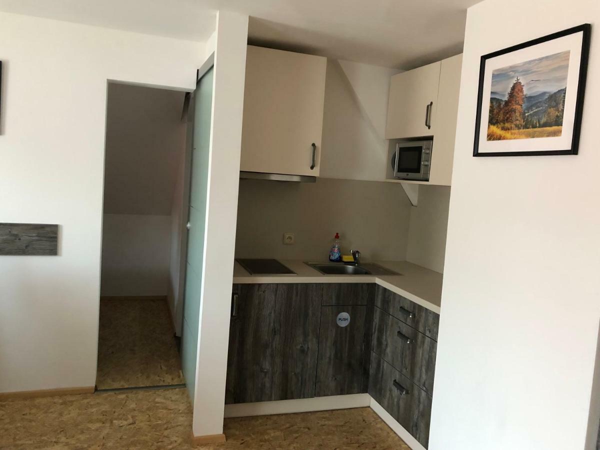Chata Obzor Železná Ruda Exterior foto